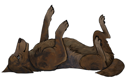 1000006624.png
