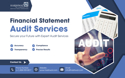 Financial Statement audit services secure your future HCLLP.png