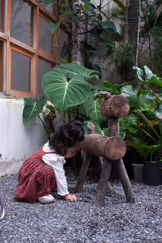 DSCF1124.jpg