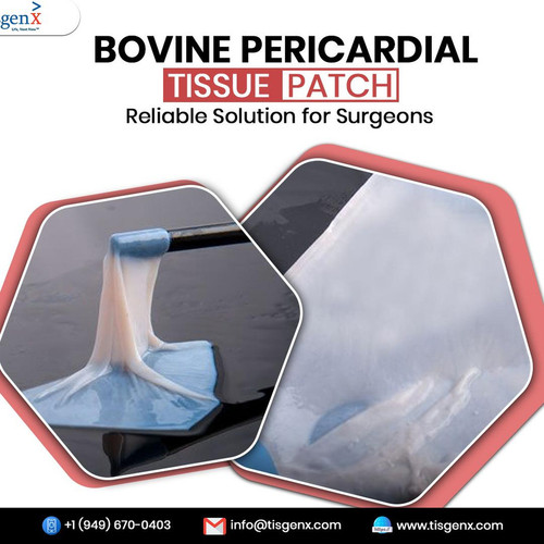 Bovine Pericardial Tissue Patch for General Surgery.jpg