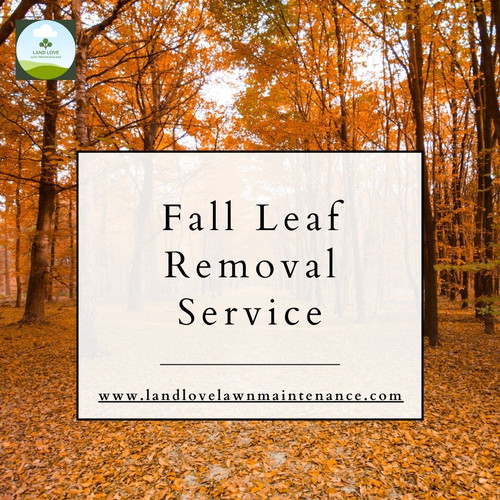 Fall Leaf Removal Service – Land Love Lawn Maintenance.jpg