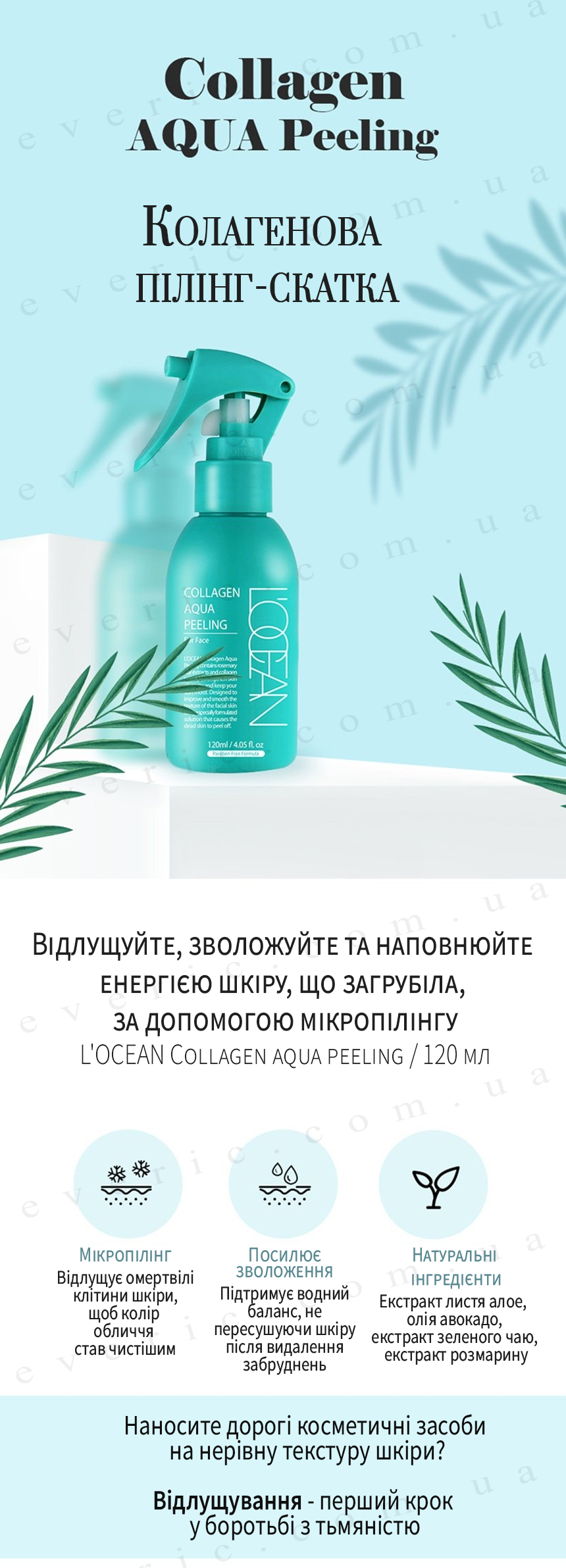 1 копия