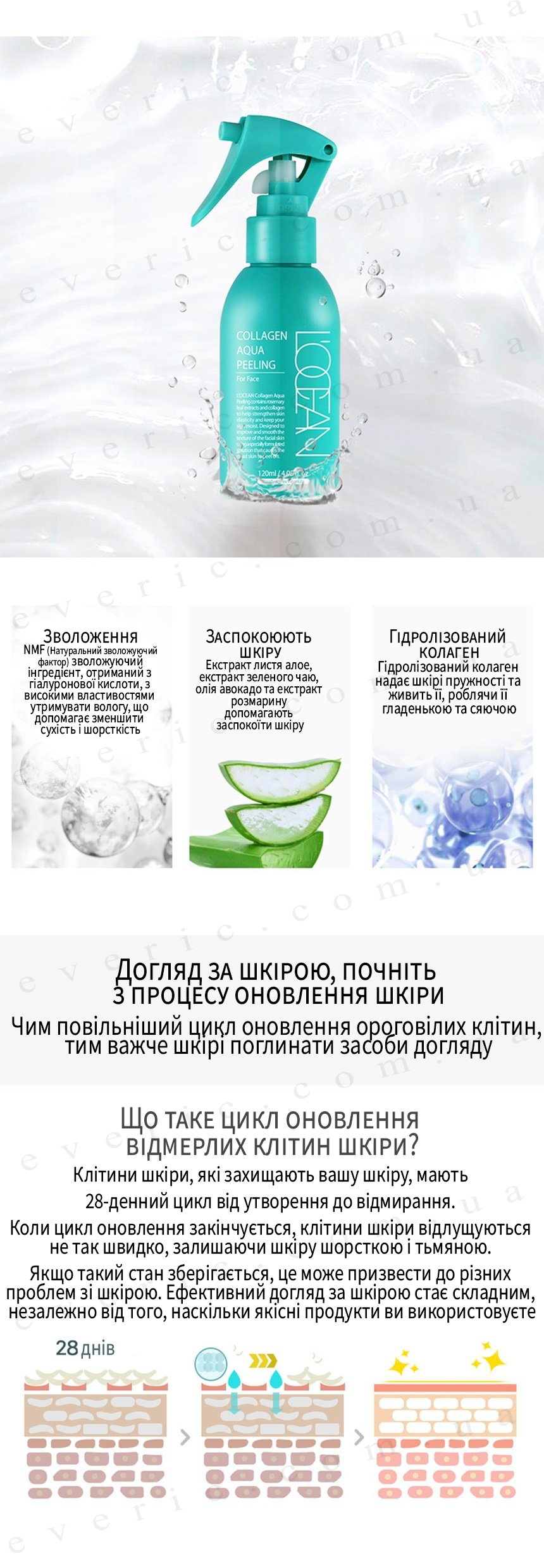 2 копия