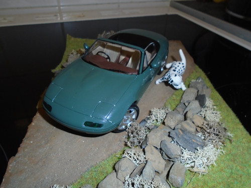DSC09065.jpg