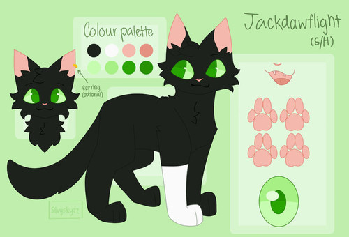 static assets upload15715622601520703470