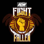AEW Fight for the Fallen 23.jpg