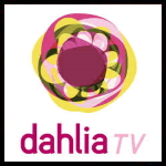 Dahlia TV.jpg