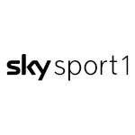 Sky Sport 1 (Germany) 2009.jpg