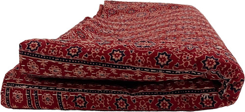 81tNrFzAeFL. AC SL1500 .jpg