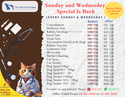 Consultation Wellness Test Rabies Serology Fecal Test Urine Test Vaccination Each(Cat & Dog) Rabies .png