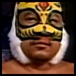 El Gato.jpg