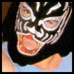 Black Tiger.jpg