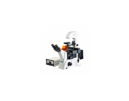Inverted Fluorescence Microscope LT-IFM202.png