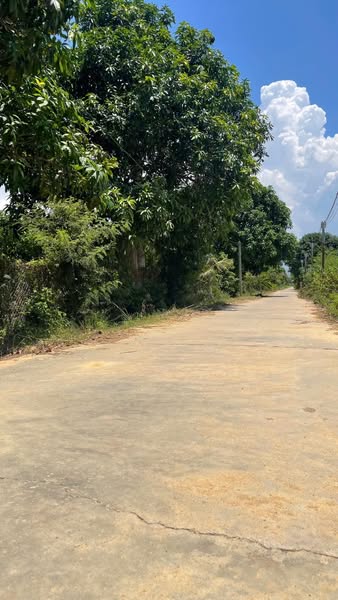 472529614 9014815415304588 5350171874326024152 n.jpg