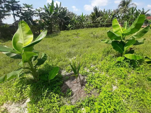 472543090 1330928528247306 3477258756286416976 n.jpg