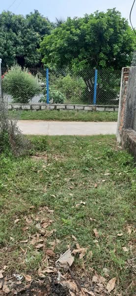 472612434 1330928521580640 2412668795975753944 n.jpg