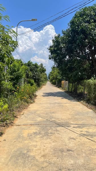 472233634 9014815268637936 8153237523709958820 n.jpg