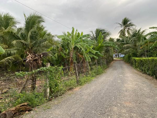 472253814 1770521463801177 1556214652251839286 n.jpg