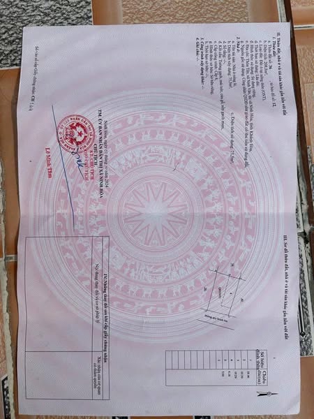 472235468 3909638139270139 1797982506607237700 n.jpg