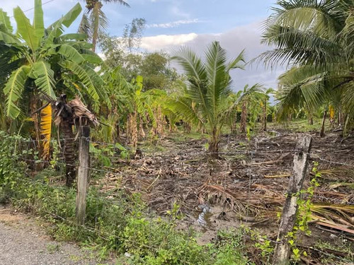 472300522 1770521470467843 7569581118164482094 n.jpg