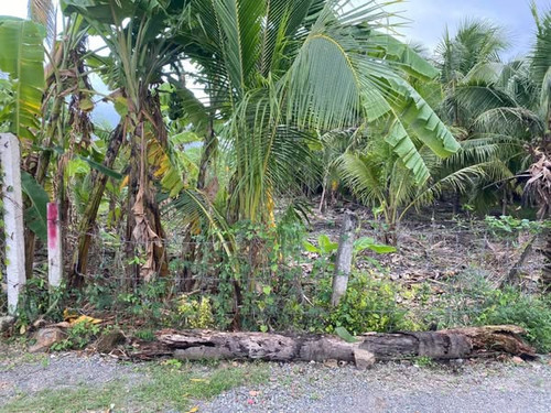 472309962 1770521467134510 541852321773936345 n.jpg