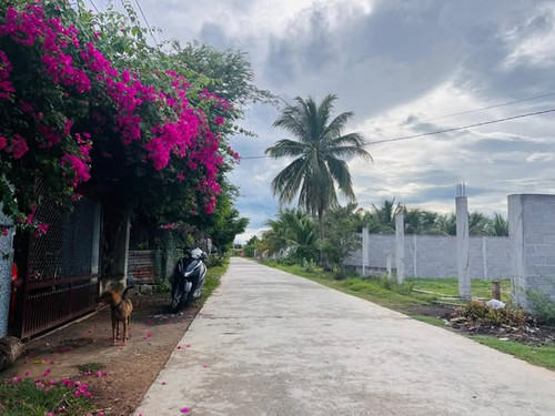 472708455 2902983113204309 538866408936348807 n.jpg