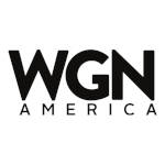WGN America 2014.jpg