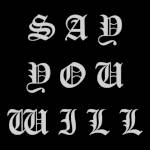 GCW Say You Will.jpg
