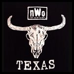 nWoTexas.jpg