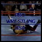 Pro Wrestling USA.jpg