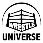 Wrestle Universe 2020.jpg