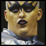 Goldust11.jpg