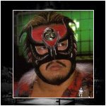 Fake Hayabusa.jpg
