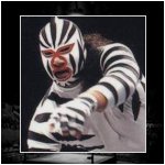 Great Zebra.jpg
