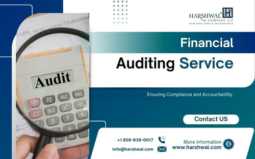 Financial auditing service ensuring compliance.jpg