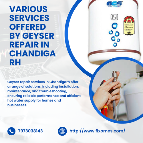 Various Services Offered by Geyser Repair in Chandigarh (2).png