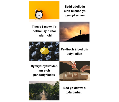 Mindset WEL.png