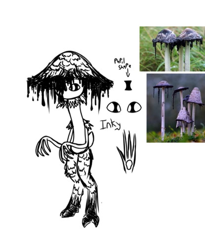 IMG 0831.png.jpg