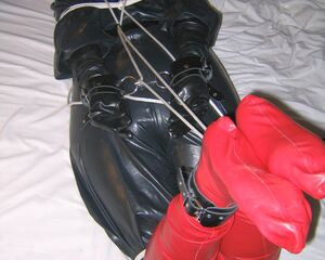 4eaa0677 f4fa 4802 82b6 6110637e7415 51602884121 o.jpg