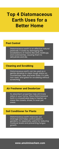 Top 4 Diatomaceous Earth Uses for a Better Home.jpg