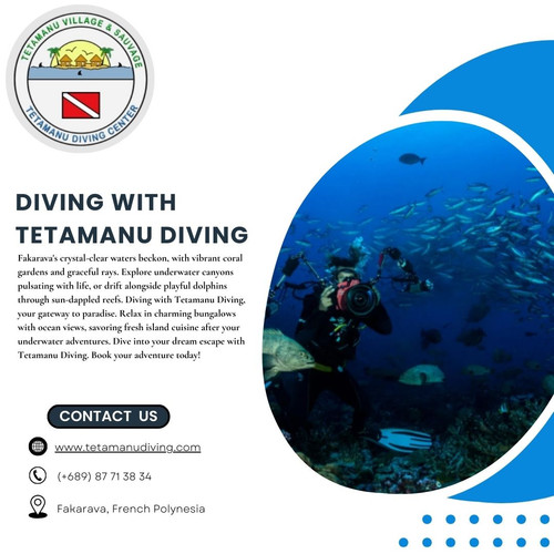 Diving with Tetamanu Diving: Paradise Found in Fakarava.jpg