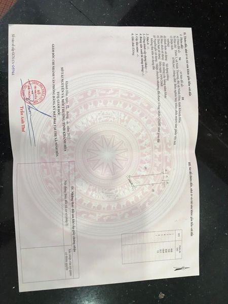 466150563 2962013667286486 2479159707355990140 n.jpg