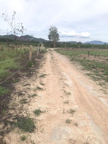 466552678 2962011953953324 9042338174471898301 n.jpg