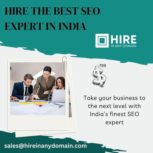Hire the Best SEO Expert in India.jpg