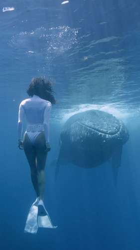 407691221 7198817876816204 4804060680459784325 n