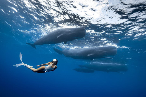 456479488 18289976764201817 4460990538713148516 n