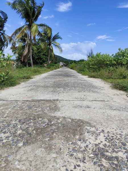 466900418 3796591283989156 3907089462820885237 n.jpg