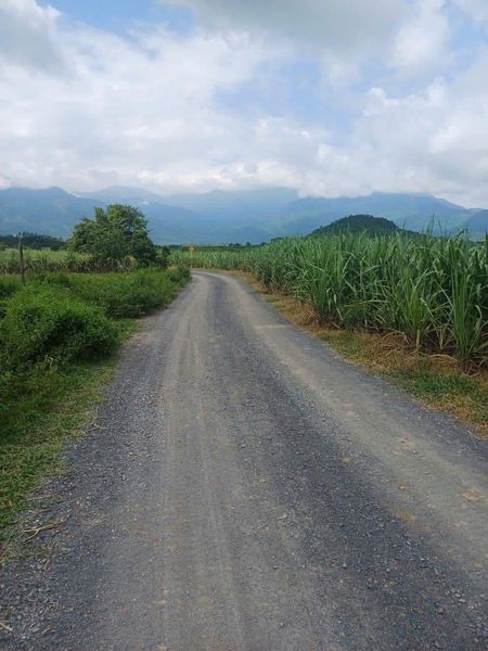 466090910 3764502360433132 4283923084272139224 n.jpg