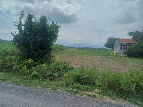 465890089 3764502307099804 2027360699029656389 n.jpg