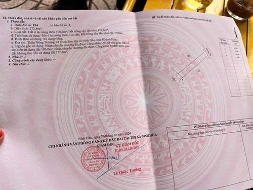 465981163 3764502200433148 2595660521385824945 n.jpg